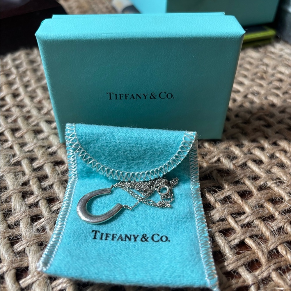 Tiffany & Co. Silver Horseshoe Necklace with Blue Pouch/Box